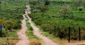 Safari-ralli